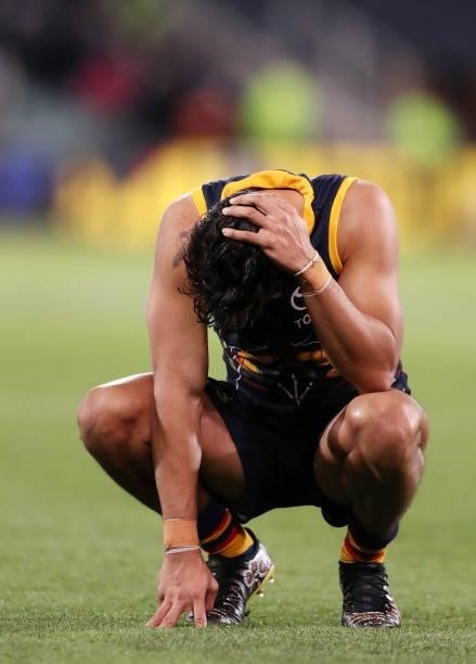 Shane McAdam of the Crows reacts after the siren during the 2021 AFL Round 12 match between the Adelaide Crows and the Collingwood Magpies at...