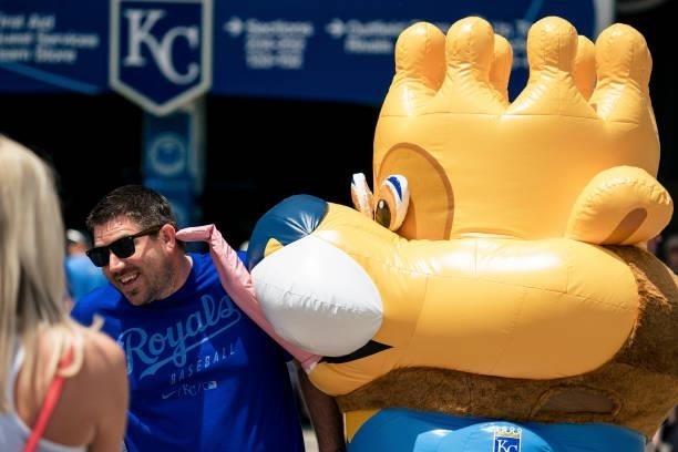 Kansas City Royals fan has his ear licked by a blowup Sluggerrr mascot before the game against the Minnesota Twins at Kauffman Stadium on June 5,...