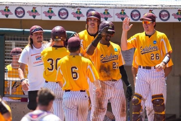 Members of Salisbury celebrates a run scored against St. Thomas during the Division III Men's Baseball Championship held at Perfect Game Field at...