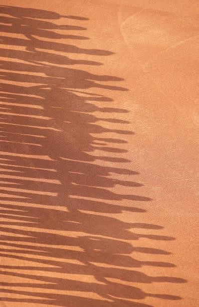 Shadows of the Florida State Seminoles during the Division I Women's Softball Championship held at ASA Hall of Fame Stadium on June 9, 2021 in...