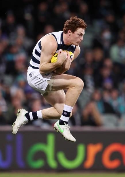 Gary Rohan of the Cats marks the ball during the 2021 AFL Round 13 match between the Port Adelaide Power and the Geelong Cats at Adelaide Oval on...