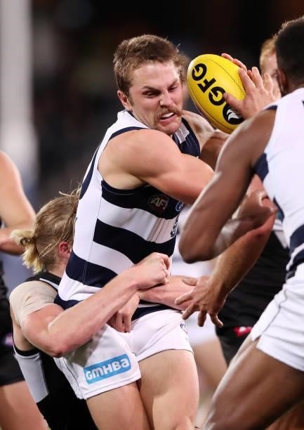 Tom Atkins of the Cats under pressure from Miles Bergman of the Power during the 2021 AFL Round 13 match between the Port Adelaide Power and the...