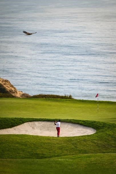 Sebastian Munoz of Colombia plays a shot from a greenside bunker on the third hole as a hawk flies above during practice for the 121st U.S. Open on...
