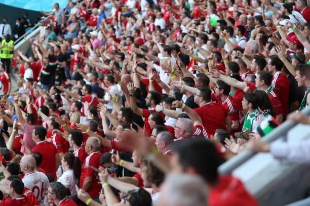 Fans react during the UEFA Euro 2020 Championship Group F match between Hungary and Portugal on June 15, 2021 in Budapest, Hungary.