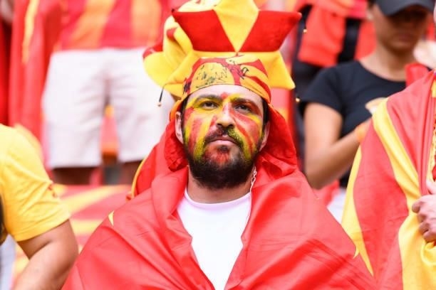 Supporter of North Macedonia is seen prior to the UEFA Euro 2020 Championship Group C match between Ukraine and North Macedonia at National Arena on...