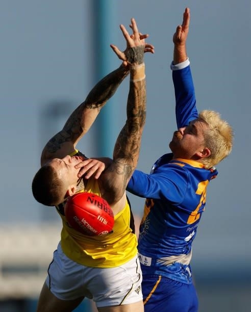 Matthew Parker of the Tigers and Teia Miles of the Seagulls compete for the ball during the VFL Round 10 match between the Williamstown Seagulls and...