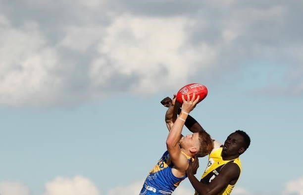Nick Ebinger of the Seagulls and Bigoa Nyuon of the Tigers compete for the ball during the VFL Round 10 match between the Williamstown Seagulls and...
