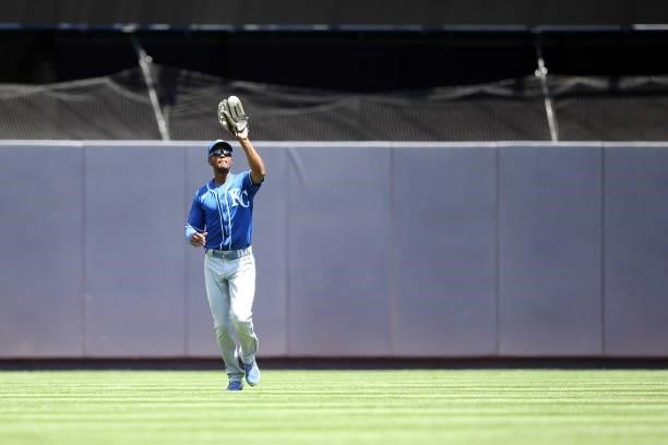Michael A. Taylor of the Kansas City Royals makes a catch during the game between the Kansas City Royals and the New York Yankees at Yankee Stadium...