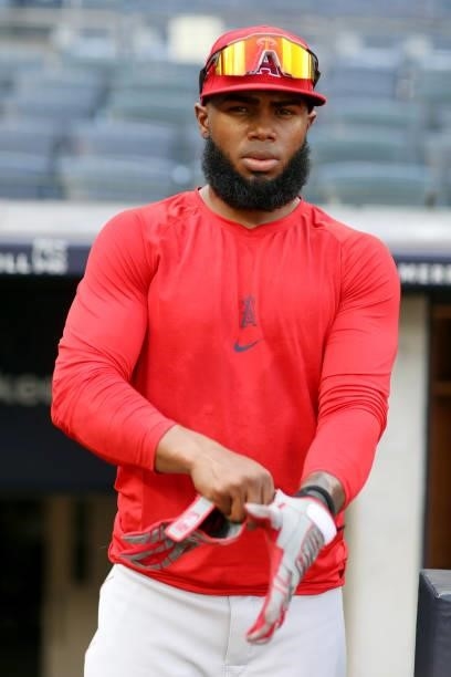 Luis Rengifo of the Los Angeles Angels looks on during batting practice before the game between the Los Angeles Angels and the New York Yankees at...