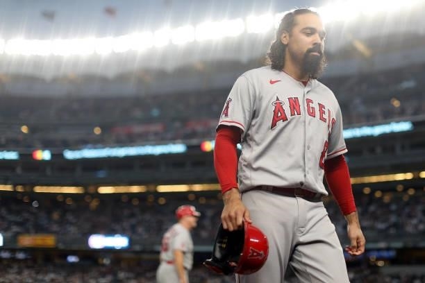 Anthony Rendon of the Los Angeles Angels looks on during the game between the Los Angeles Angels and the New York Yankees at Yankee Stadium on...