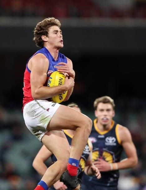 Deven Robertson of the Lions marks the ball during the 2021 AFL Round 16 match between the Adelaide Crows and the Brisbane Lions at Adelaide Oval on...
