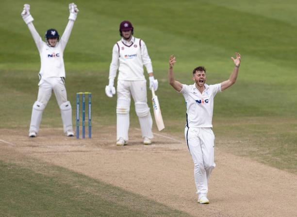 Bowler Ben Coad and wicketkeeper Harry Duke of Yorkshire successfully appeal to the umpire for the wicket of Tom Taylor of Northamptonshire, out lbw,...