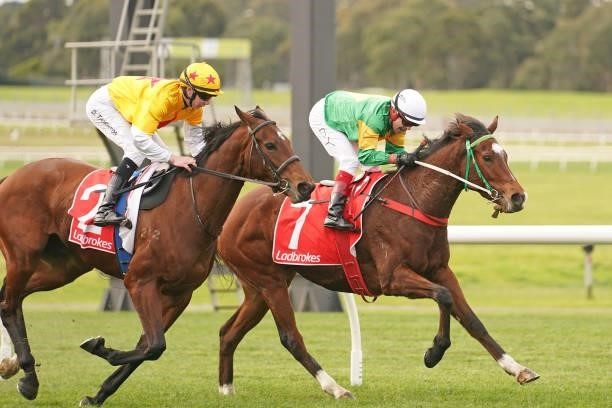 So You Assume ridden by Dean Yendall wins the Ladbrokes Blended Multi Handicap at Ladbrokes Park Hillside Racecourse on July 07, 2021 in Springvale,...
