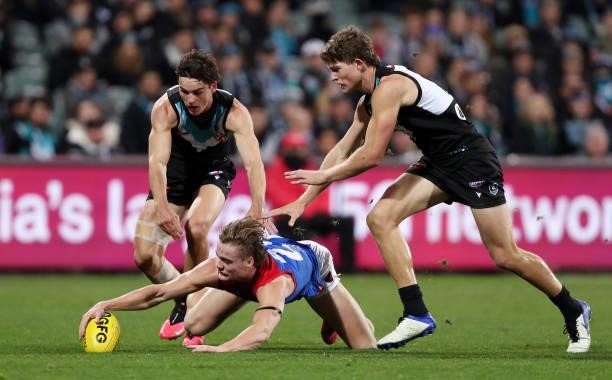 Trent Rivers of the Demons drives for the ball with Connor Rozee of the Power and team mate Mitch Georgiades during the 2021 AFL Round 17 match...