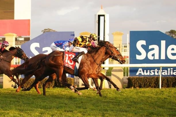 Silver Lake ridden by Damien Thornton wins the Flying Colours Sale BM64 Handicap at Sale Racecourse on July 09, 2021 in Sale, Australia.