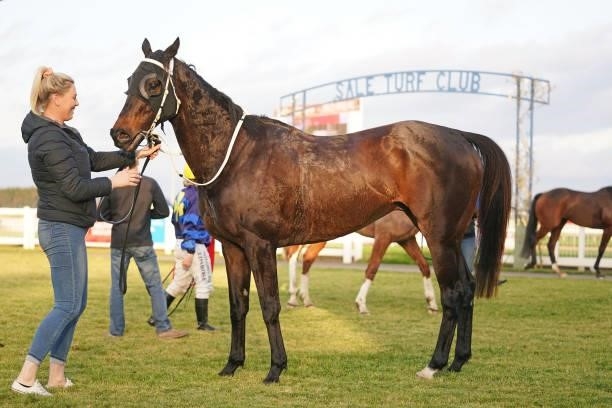 Rolling Moss after winning the Harvey Norman Gippsland BM64 Handicap at Sale Racecourse on July 09, 2021 in Sale, Australia.