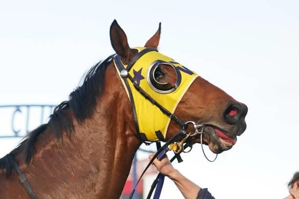 Cicero Field after winning the KMA Excavations Loch Sport Class 1 Handicap at Sale Racecourse on July 09, 2021 in Sale, Australia.