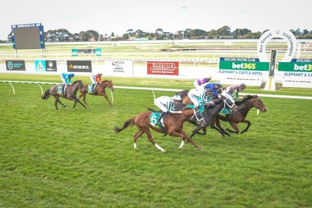 Ozymandias ridden by Campbell Rawiller wins the bet365 Odds Drift Protector Maiden Plate at Geelong Racecourse on July 16, 2021 in Geelong, Australia.