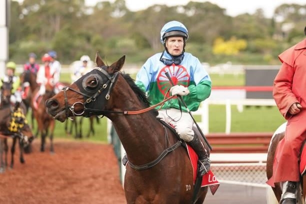 Garimpeiro ridden by Craig Newitt returns to the mounting yard after winning the Ladbrokes Switch Handicap at Ladbrokes Park Lakeside Racecourse on...