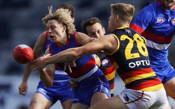 Cody Weightman of the Bulldogs is tackled by Nick Murray of the Crows during the 2021 AFL Round 20 match between the Western Bulldogs and the...