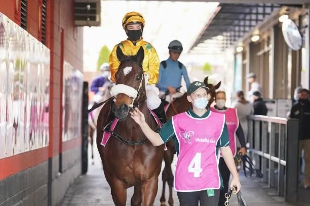 Detail of Lady of Racing saddle cloths and strappers bibs before the Victorian Wakeful Club Lady Of Racing Handicap at Moonee Valley Racecourse on...