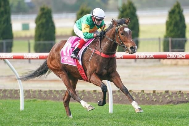 So You Assume ridden by Dean Yendall wins the Victorian Wakeful Club Lady Of Racing Handicap at Moonee Valley Racecourse on July 31, 2021 in Moonee...