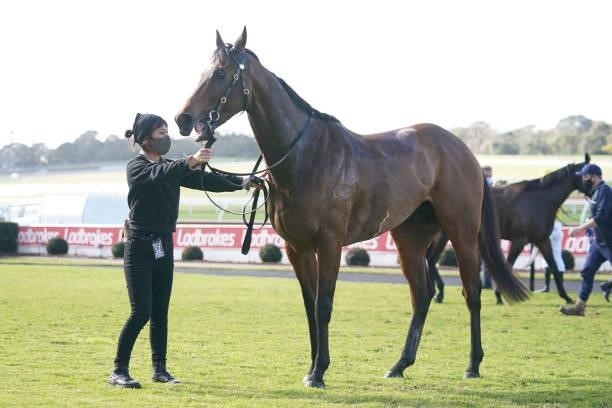 Invincible Jet after winning the Ladbrokes Easy Form Handicap at Ladbrokes Park Lakeside Racecourse on August 01, 2021 in Springvale, Australia.