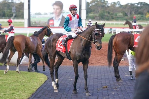 Lion's Share ridden by John Allen returns to the mounting yard after winning the Ladbrokes Switch Handicap at Ladbrokes Park Lakeside Racecourse on...