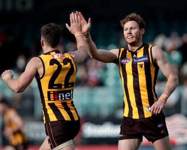 Luke Breust of the Hawks celebrates a goal with Tim OBrien of the Hawks during the 2021 AFL Round 20 match between the Hawthorn Hawks and the...