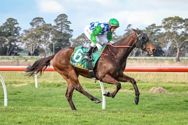 Stripped Back ridden by Brett Prebble wins the Oceanview Landscaping and Paving BM64 Hcp at Coleraine Racecourse on August 05, 2021 in Coleraine,...