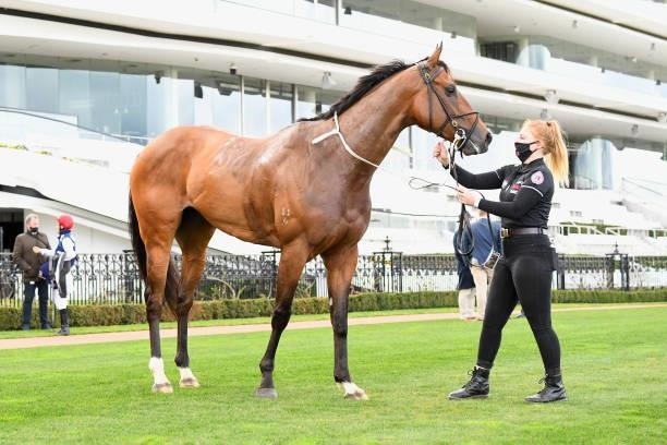 The Astrologist after winning the World Horse Racing Aurie's Star Handicap at Flemington Racecourse on August 07, 2021 in Flemington, Australia.