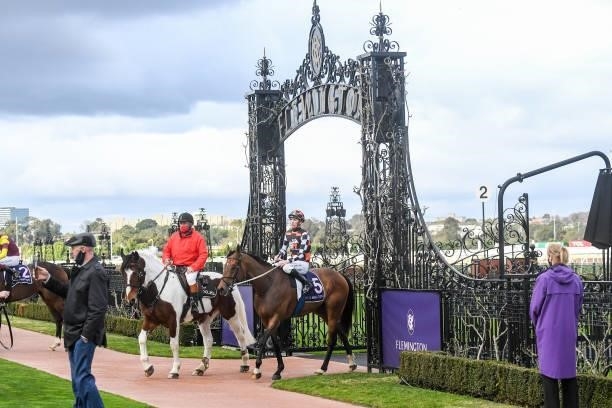 Damien Thornton returns to the mounting yard on The Astrologist after winning the World Horse Racing Aurie's Star Handicap at Flemington Racecourse...