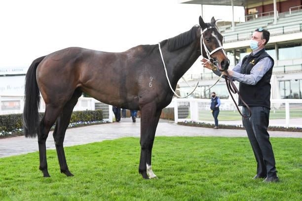 Sierra Sue after winning the P.B. Lawrence Stakes at Caulfield Racecourse on August 14, 2021 in Caulfield, Australia.