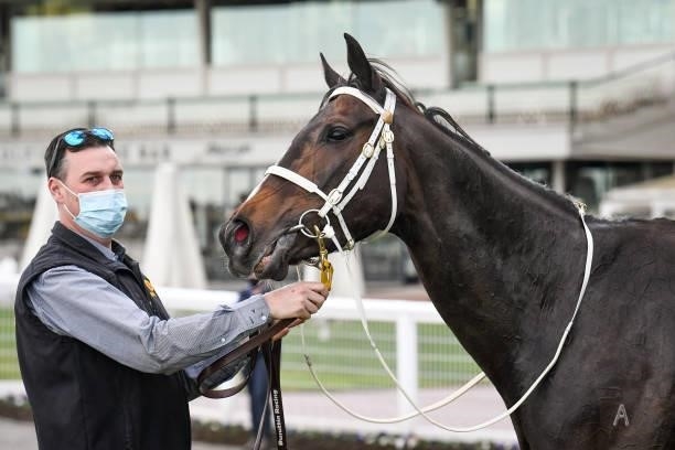 Sierra Sue after winning the P.B. Lawrence Stakes, at Caulfield Racecourse on August 14, 2021 in Caulfield, Australia.