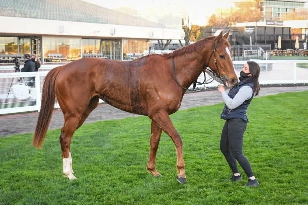 Pintoff after winning the Evergreen Turf Regal Roller Stakes , at Caulfield Racecourse on August 14, 2021 in Caulfield, Australia.
