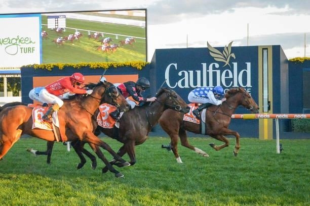 Pintoff ridden by Declan Bates wins the Evergreen Turf Regal Roller Stakes at Caulfield Racecourse on August 14, 2021 in Caulfield, Australia.