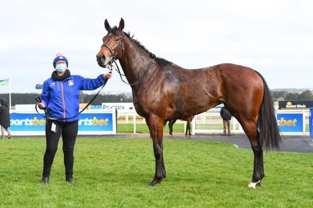 Star Of Chaos after winning the Porter Plant Fillies and Mares Maiden Plate at Sportsbet-Ballarat Synthetic Racecourse on August 16, 2021 in...