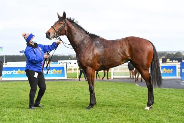 Star Of Chaos after winning the Porter Plant Fillies and Mares Maiden Plate at Sportsbet-Ballarat Synthetic Racecourse on August 16, 2021 in...