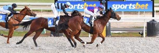 The Bont ridden by Jarrod Fry wins the Sportsbet Take A Sec Before You Bet BM58 Hcp at Sportsbet-Ballarat Synthetic Racecourse on August 16, 2021 in...