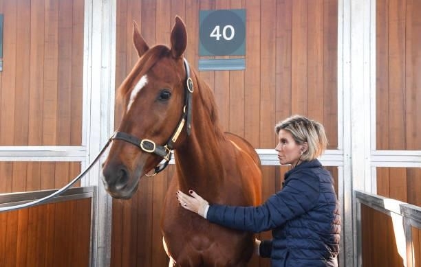 Dr Grace Forbes inspects Leale before the first race at Caulfield Racecourse on August 14, 2021 in Caulfield, Australia.