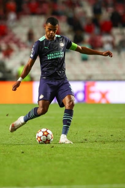 Cody Gakpo of PSV Eindhoven during the UEFA Champions League Play-Offs Leg One match between SL Benfica and PSV Eindhoven at Estadio da Luz on August...