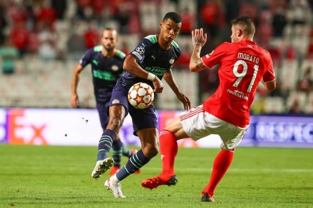 Cody Gakpo of PSV Eindhoven tries to escape Morato of SL Benfica during the UEFA Champions League Play-Offs Leg One match between SL Benfica and PSV...