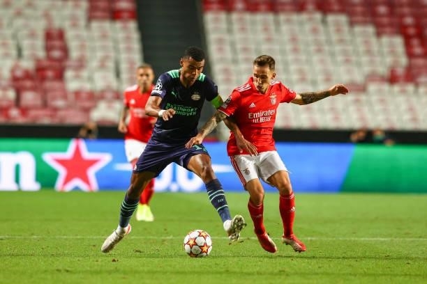 Cody Gakpo of PSV Eindhoven vies with Alex Grimaldo of SL Benfica during the UEFA Champions League Play-Offs Leg One match between SL Benfica and PSV...