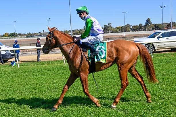 Zoffany Street ridden by John Allen returns to the mounting yard after winning the bet365 Top Tote Plus Maiden Plate at Swan Hill Racecourse on...