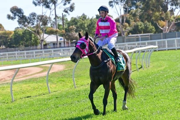 Wasabi ridden by Dean Holland returns to the mounting yard after winning the Ultima Hotel 0 - 58 Handicap at Swan Hill Racecourse on August 22, 2021...