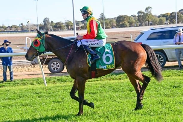 Hakuna Matata ridden by Declan Bates returns to the mounting yard after winning the BusBiz.net.au 0 - 58 Handicap at Swan Hill Racecourse on August...