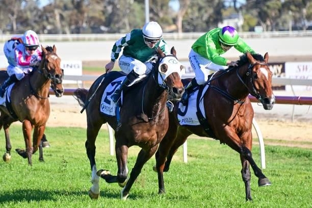 Yulong Captain ridden by Damien Thornton wins the Pooles Accountants BM70 Handicap - Murray Mallee Stayers Series Heat 4 at Swan Hill Racecourse on...