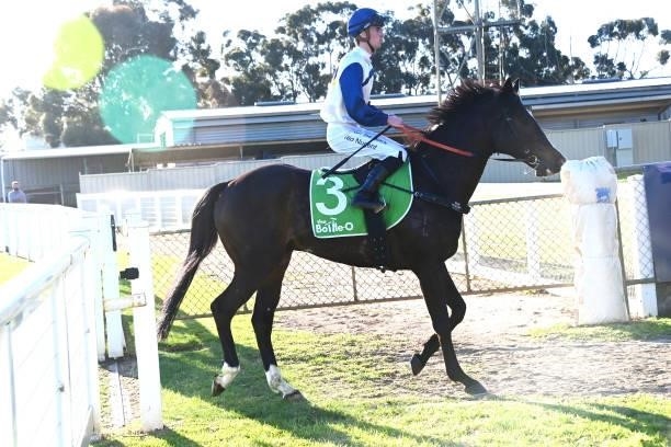 Dixie Built ridden by Teodore Nugent returns to the mounting yard after winning the The Bottle O Swan Hill 0 - 58 Handicap at Swan Hill Racecourse on...
