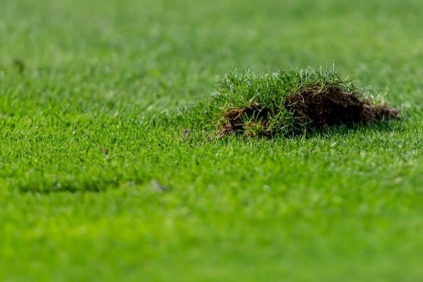 A hole in the lawn during the Bundesliga match between Sport-Club Freiburg and Borussia Dortmund at SC-Stadion on August 21, 2021 in Freiburg im...