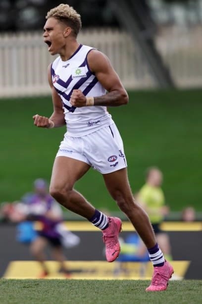 Liam Henry of the Dockers celebrates a goal during the 2021 AFL Round 23 match between the St Kilda Saints and the Fremantle Dockers at Blundstone...